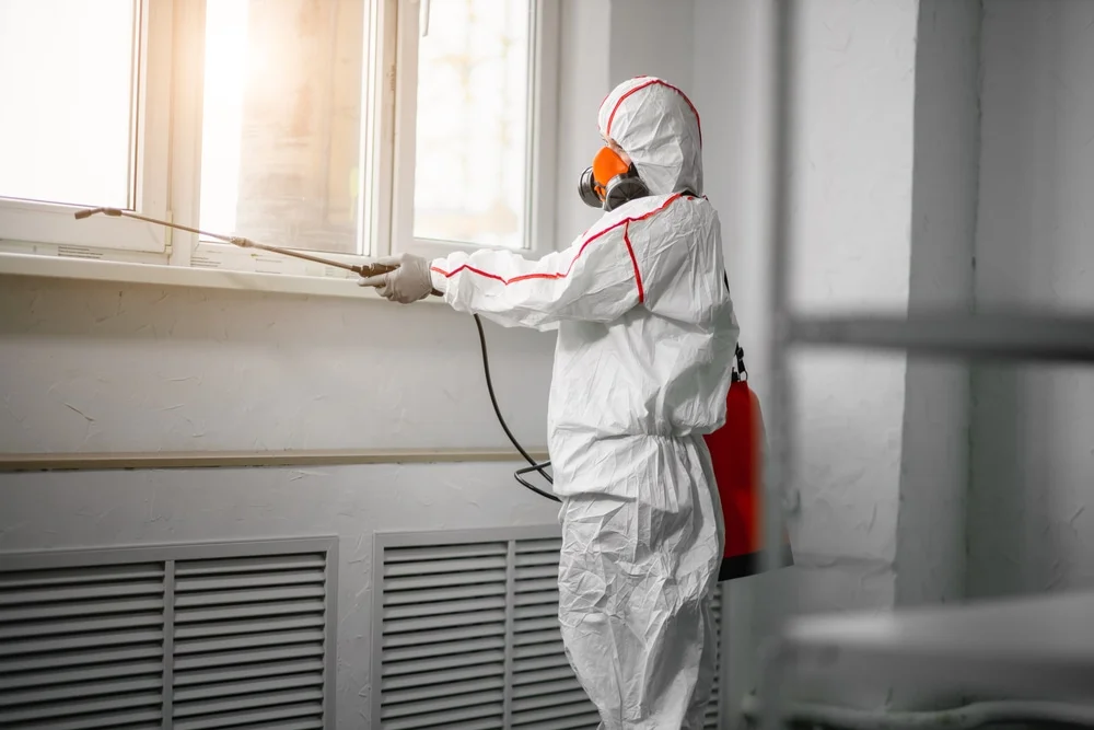 Professional mold remediation services in Kealakekua, HI
